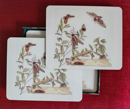 Privet Hawk Tablemats