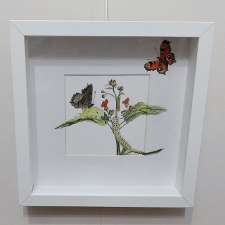 Original Pen/Ink/Watercolour of "Peacock Butterfly"
