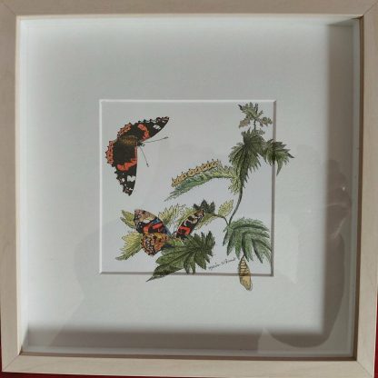 Original Pen/Ink/Watercolour Painting of a Red Admiral Butterfly and Caterpillar