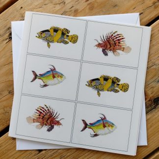 Set of 5 Fish Greetings Cards and Envelopes