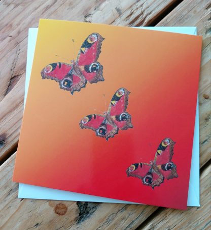 Set of 5 Peacock Butterflies on Orange Greetings Cards and Envelopes
