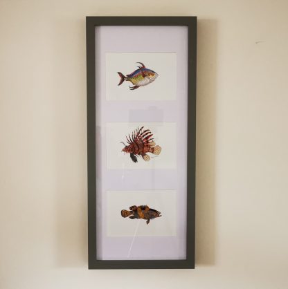 Three Fishes