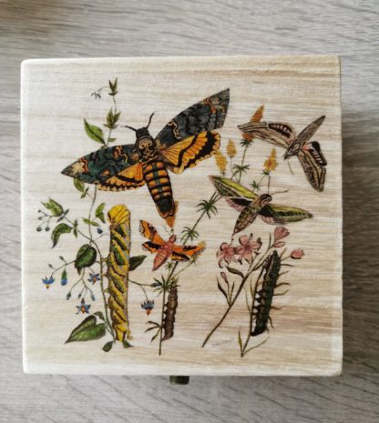 Square "Privet Hawk" Trinket Box - Image 2