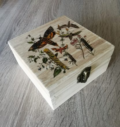 Square "Privet Hawk" Trinket Box