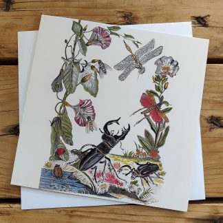 Set of 5 Stag Beetle Greetings Cards and Envelopes